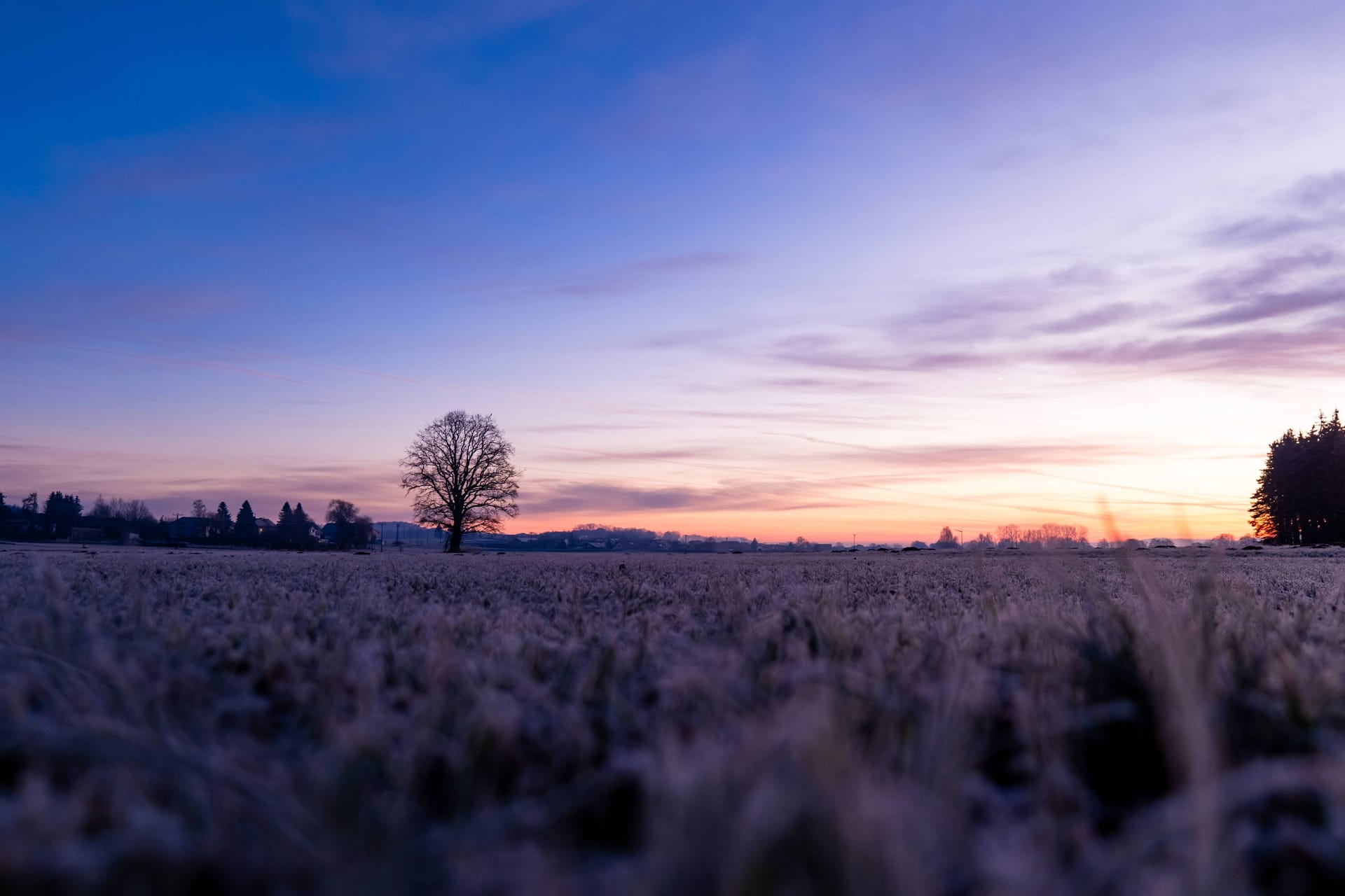 Sonnenaufgang an einem frostigen Wintermorgen im Landkreis Freising in Bayern (Symbolbild): In der Nacht sanken die Temperaturen vielerorts unter den Gefrierpunkt.