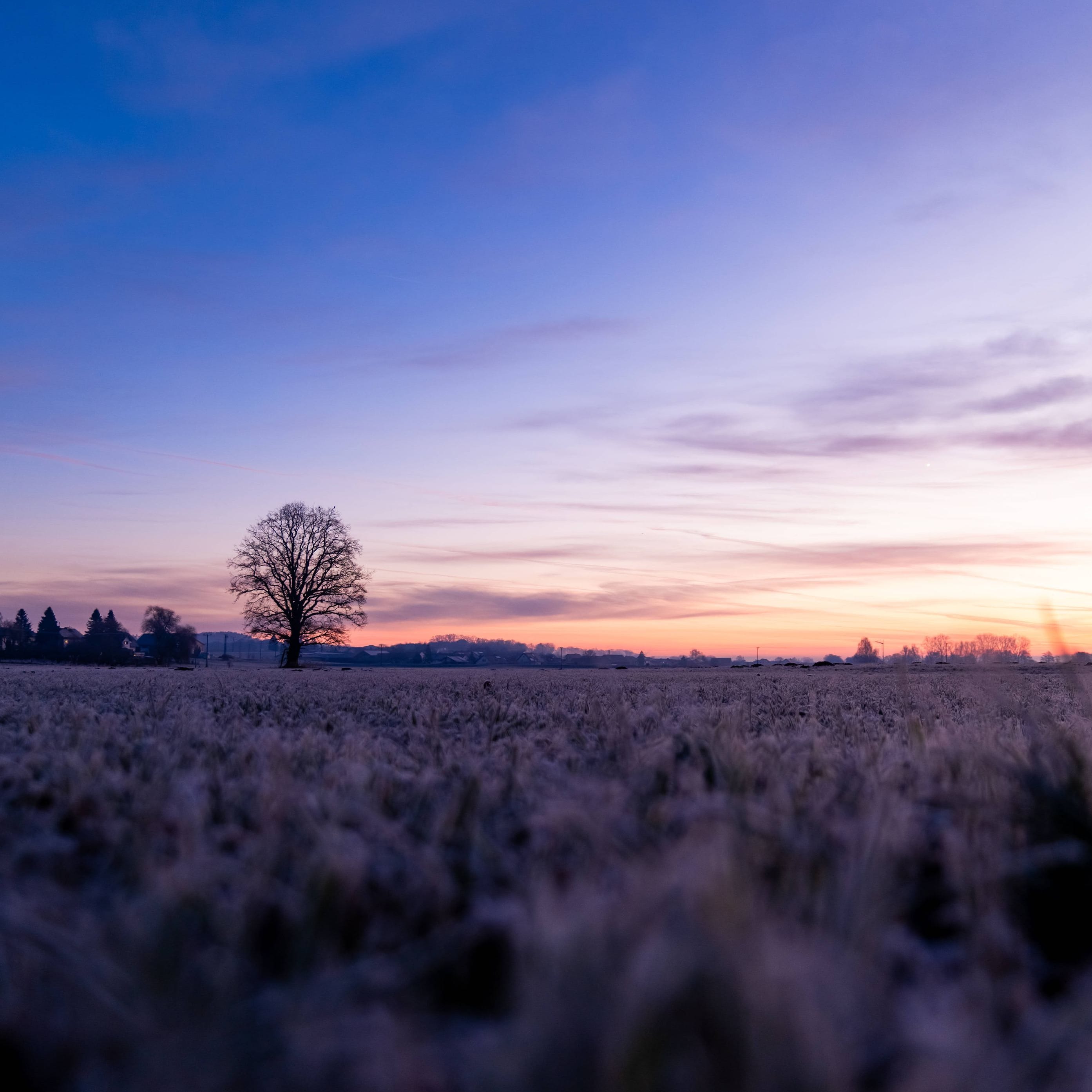 Sonnenaufgang an einem frostigen Wintermorgen im Landkreis Freising in Bayern (Symbolbild): In der Nacht sanken die Temperaturen vielerorts unter den Gefrierpunkt.