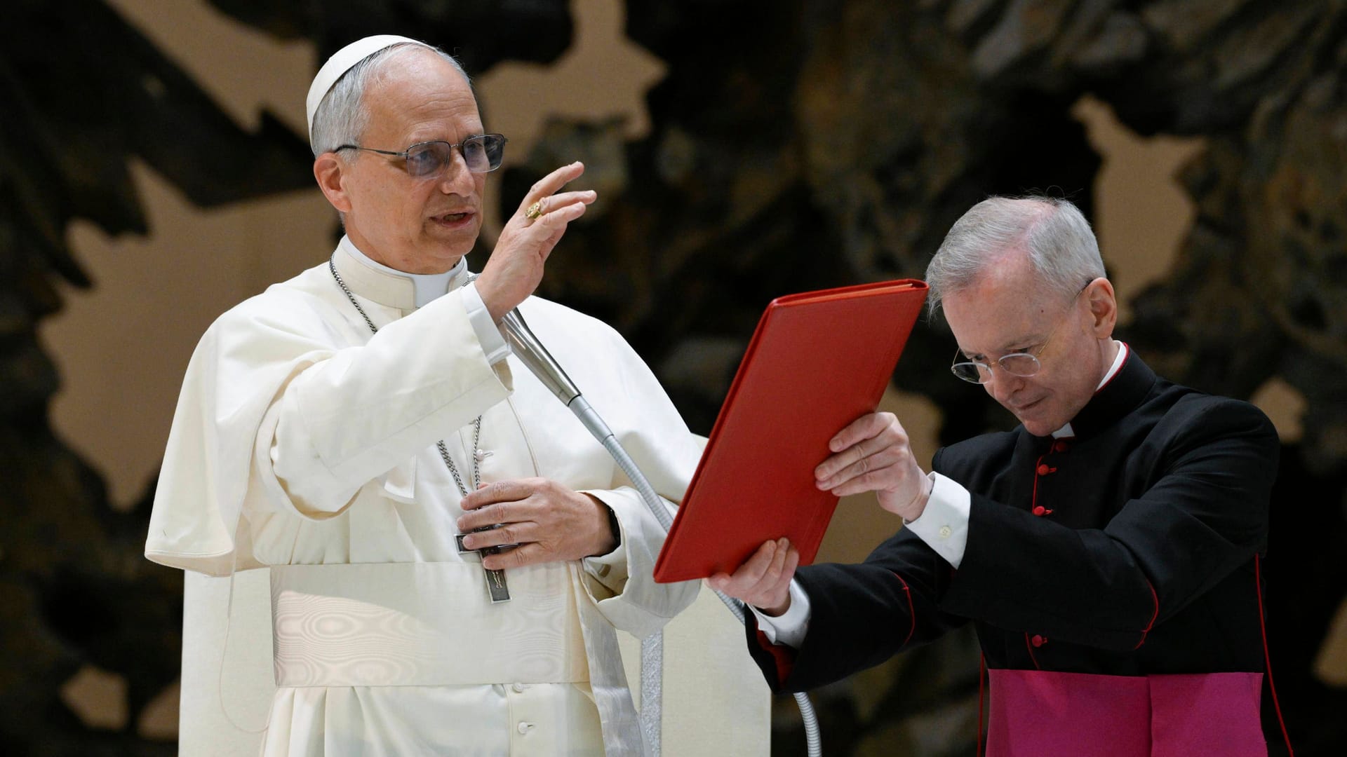 Papst Leo XIV. hält eine Audienz im Vatikan ab (Archivbild).