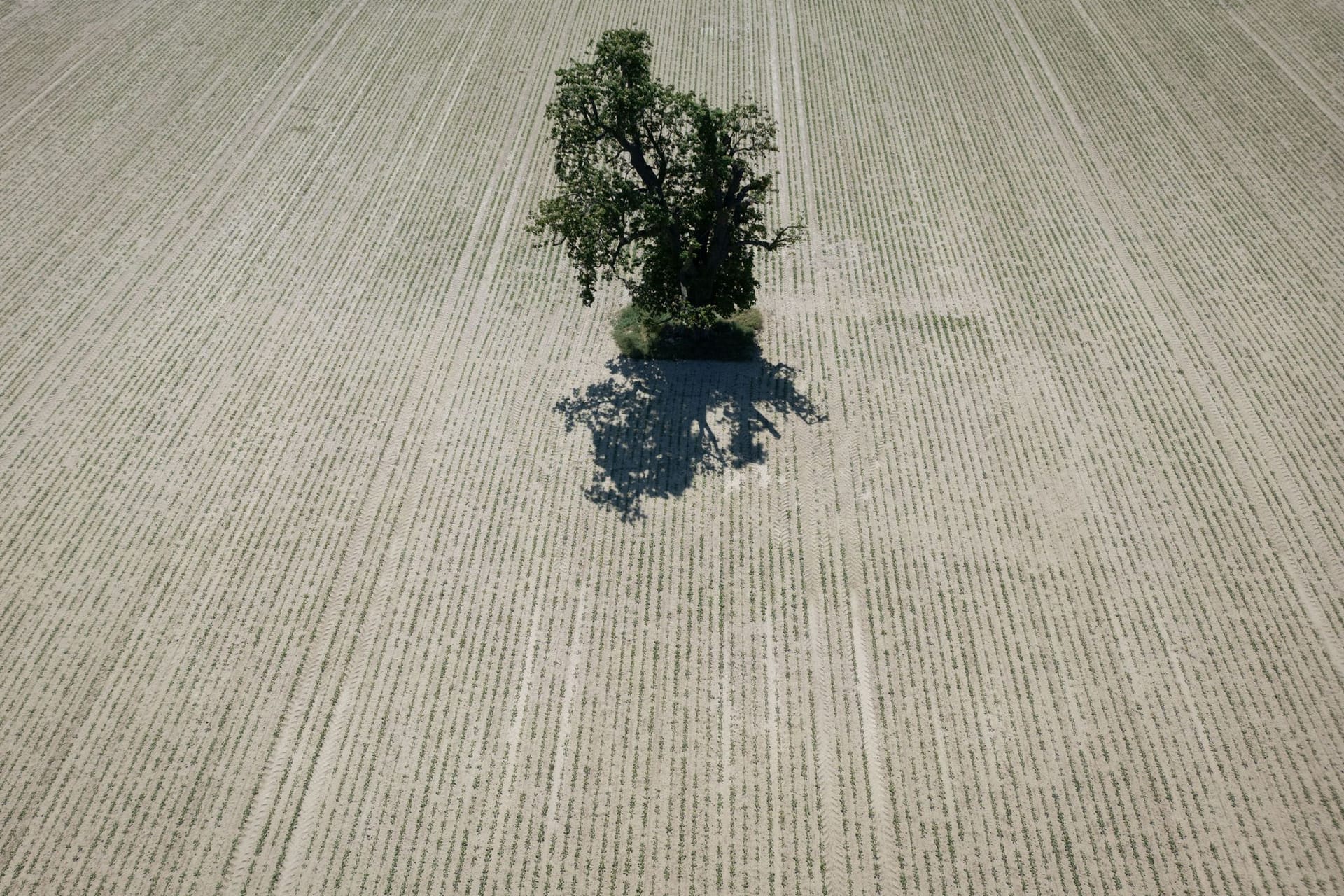 Trockenheit in Deutschland