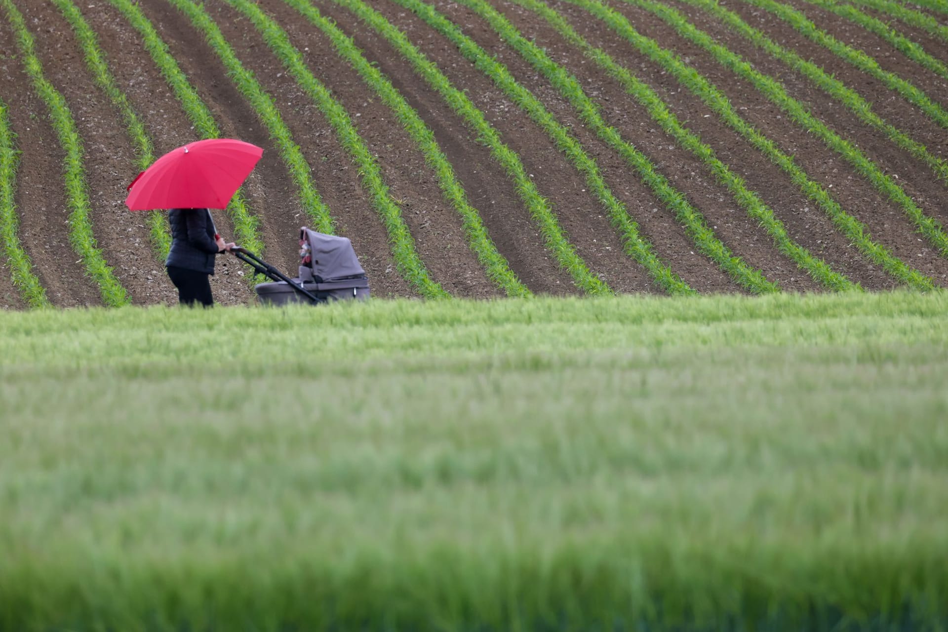 Wetter in Baden-Württemberg