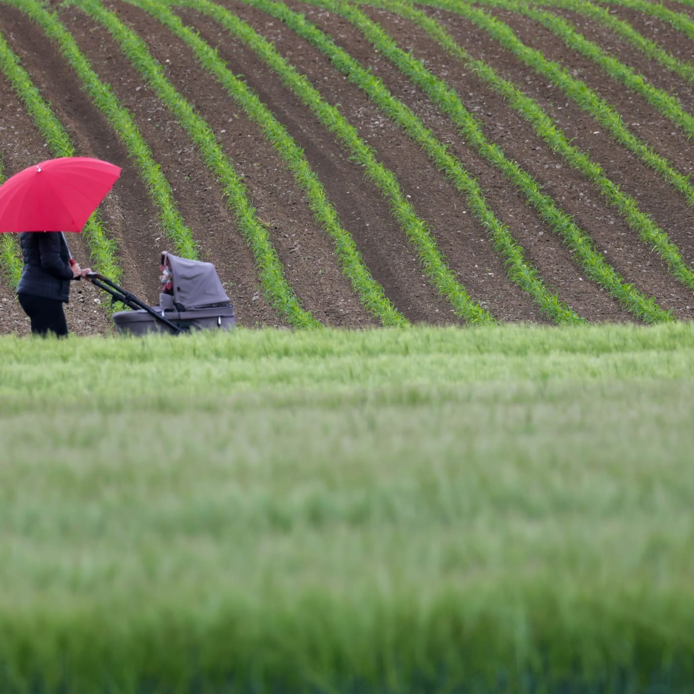 Wetter in Baden-Württemberg