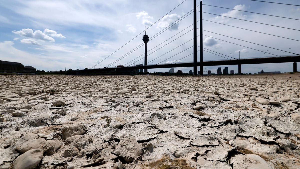 Wasser sparen: Dürre in Deutschland wird zum Problem