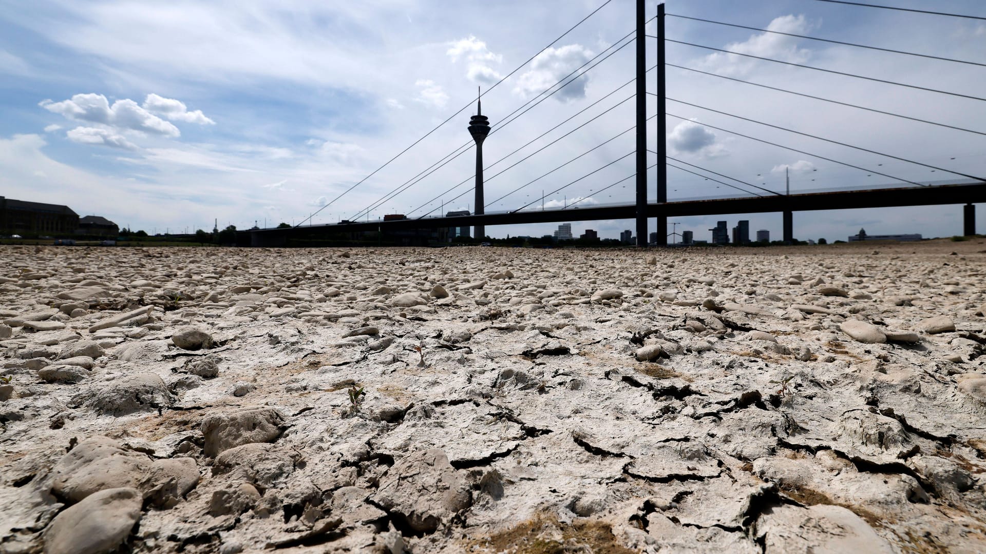 Der Rhein bei Düsseldorf bei Niedrigwasser (Archivbild): Dürreperioden könnten für Deutschland zum Problem werden. Der Rhein bei Düsseldorf bei Niedrigwasser (Archivbild): Dürreperioden könnten für Deutschland zum Problem werden.