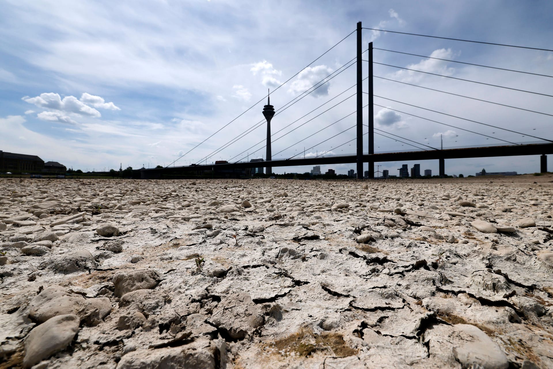 Der Rhein bei Düsseldorf bei Niedrigwasser (Archivbild): Dürreperioden könnten für Deutschland zum Problem werden.