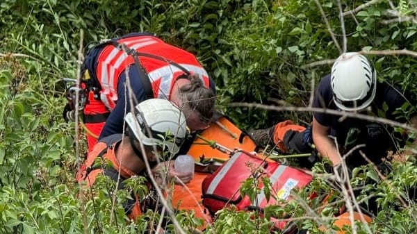 Ein Gebüsch fing den Sturz ab.