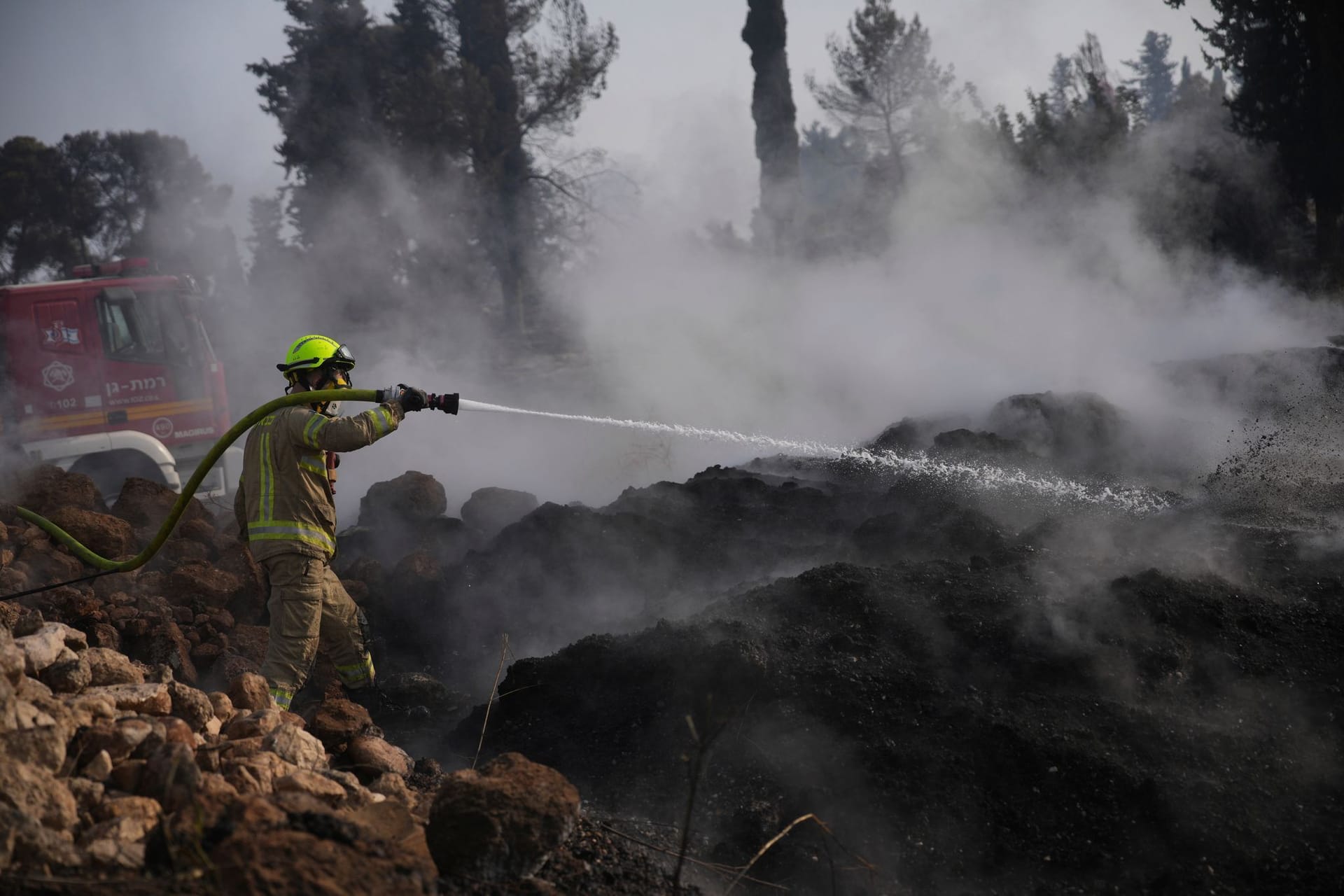 Waldbrand in Israel