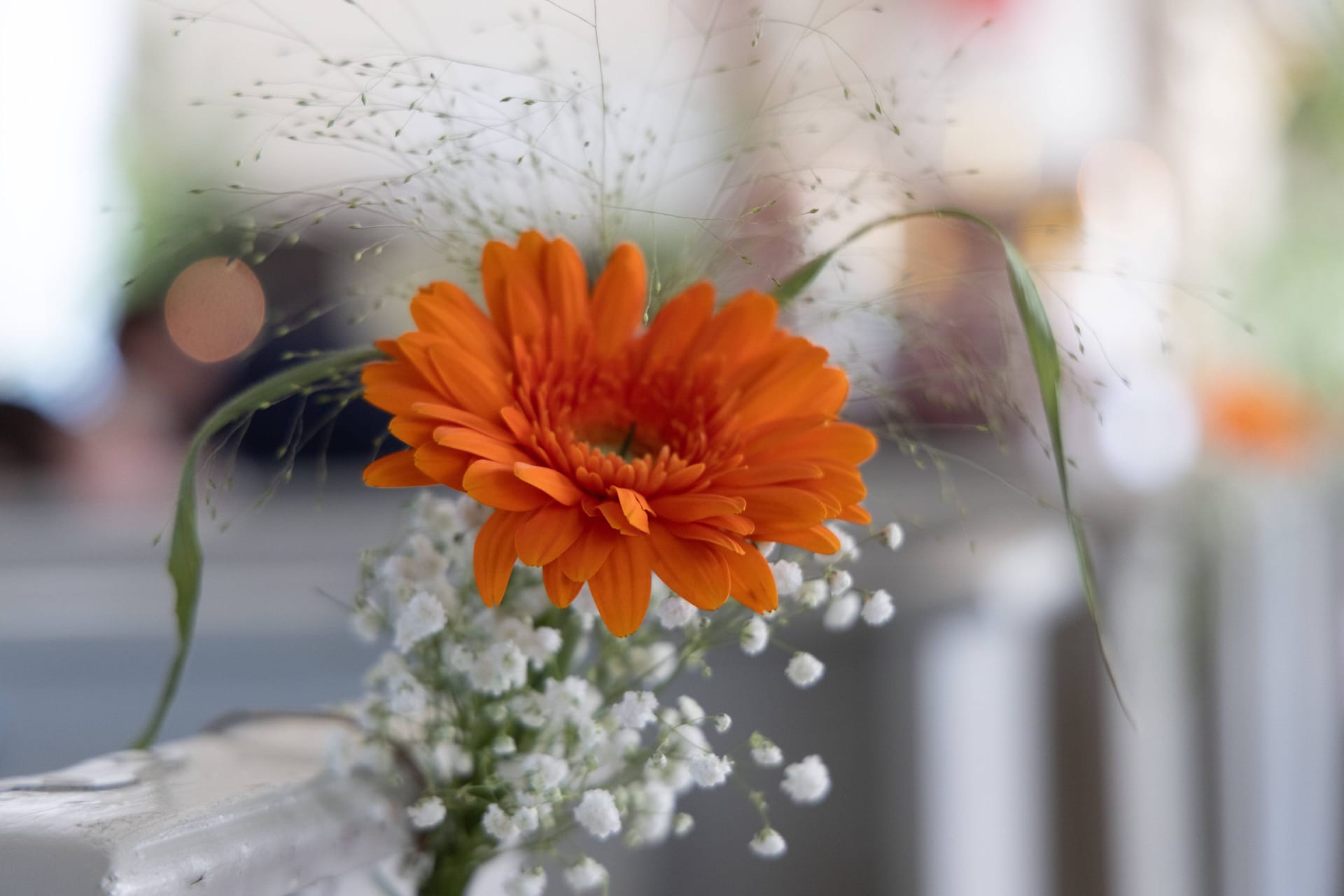 imago images 0299649849