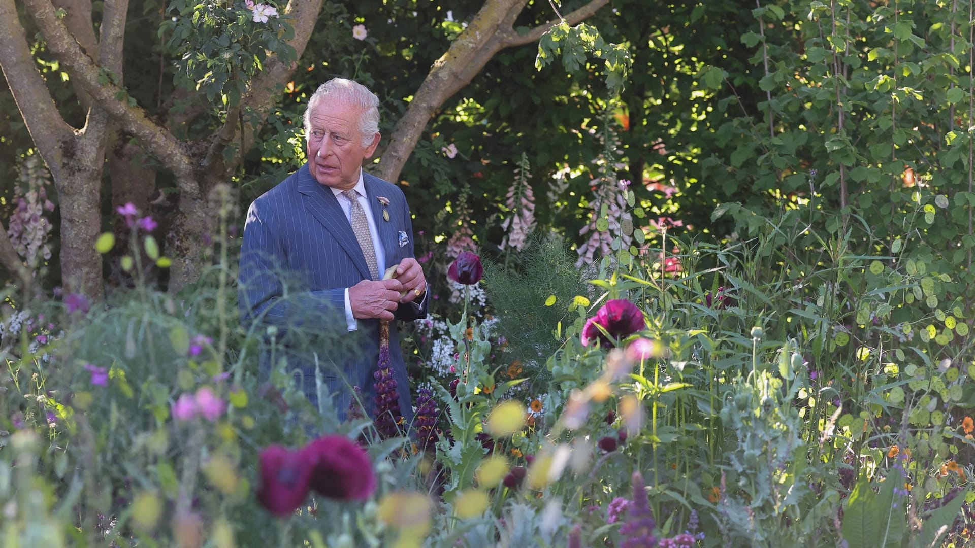 Chelsea Flower Show