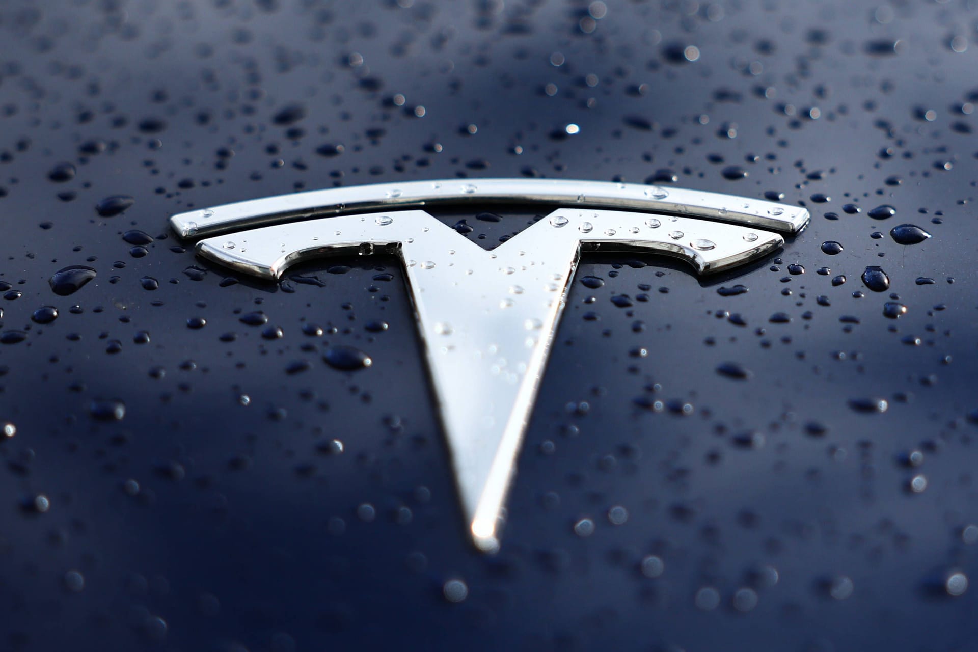 Ein Tesla-Logo (Symbolbild): Die Verkäufe des US-Autobauers befinden sich in Europa im freien Fall. Ein Tesla-Logo (Symbolbild): Die Verkäufe des US-Autobauers befinden sich in Europa im freien Fall.