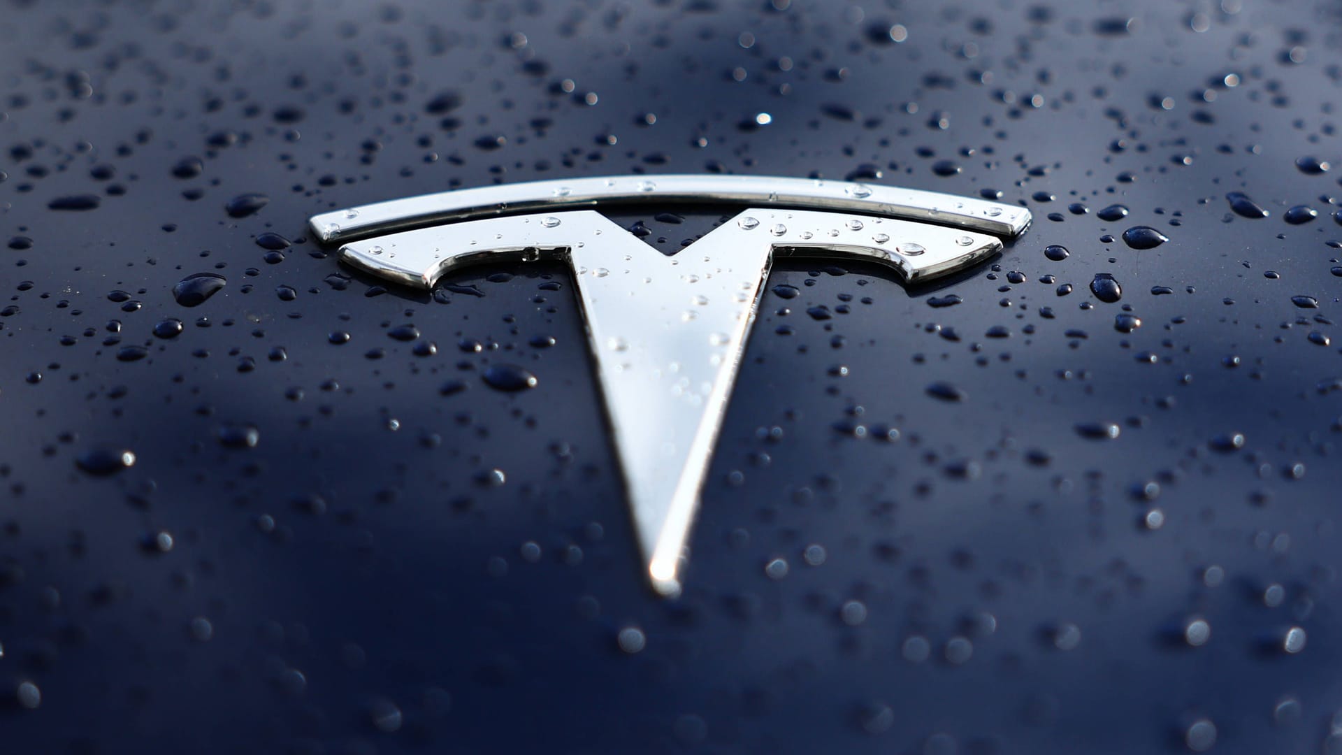 Ein Tesla-Logo (Symbolbild): Die Verkäufe des US-Autobauers befinden sich in Europa im freien Fall.