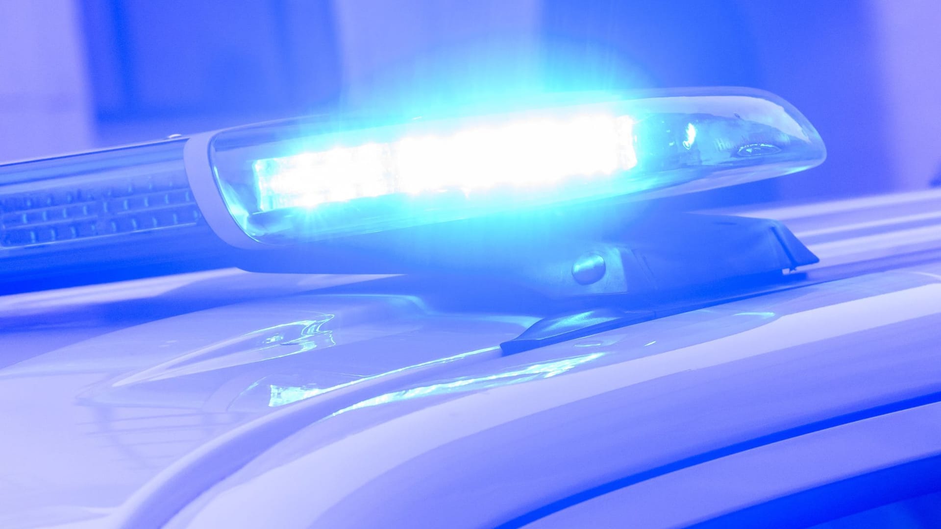 Blaulicht auf Polizeifahrzeug: Ungebetene Gäste stören Party - Polizei muss eingreifen.