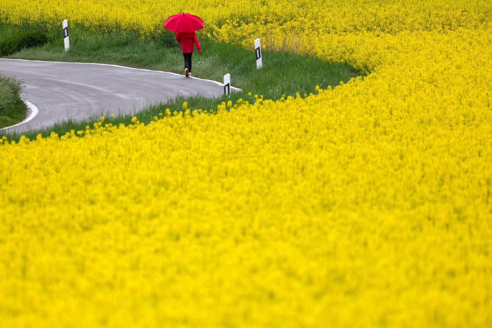 Wetter in Baden-Württemberg