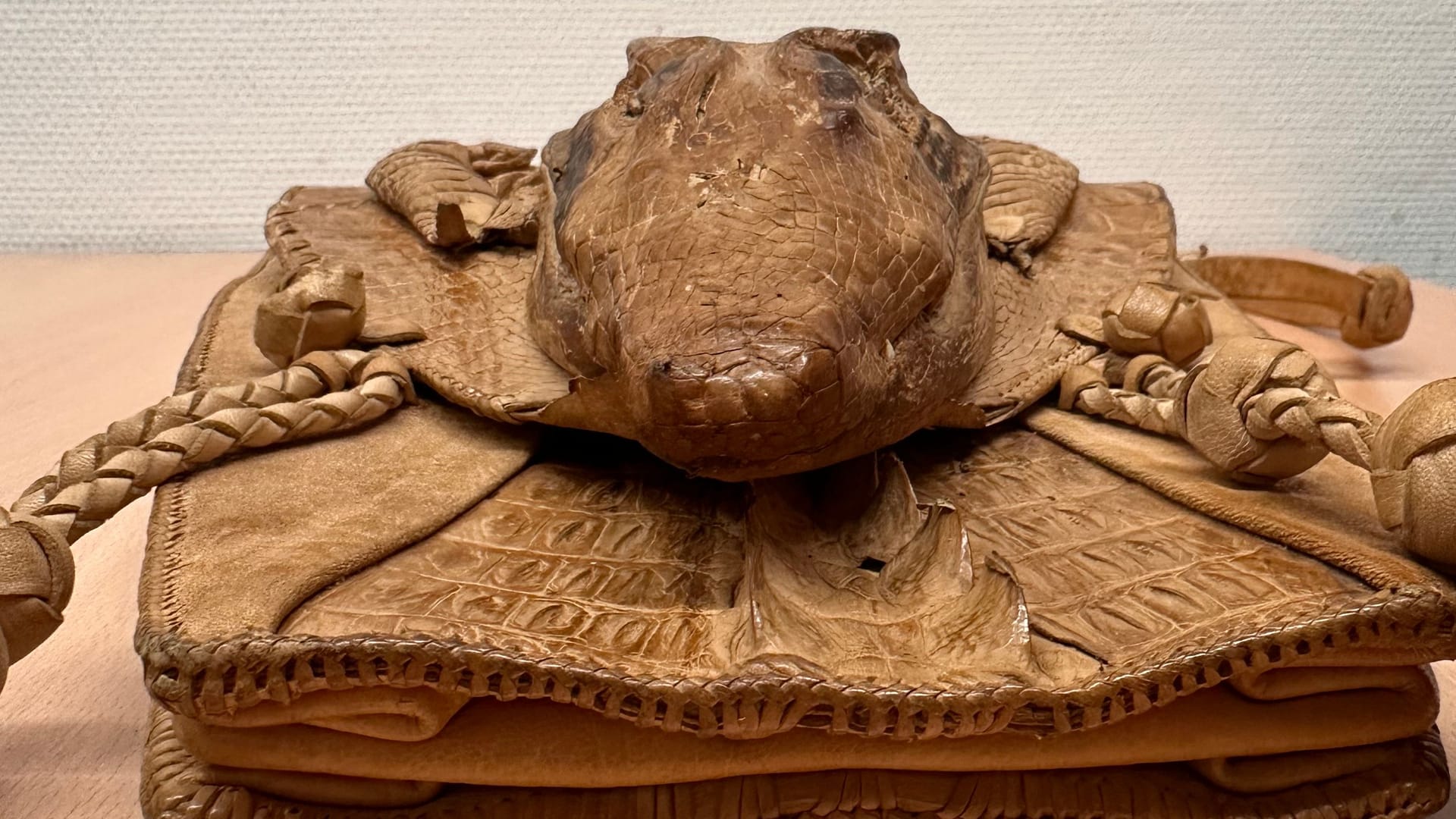 Die entdeckte Krokodilhandtasche: Es handelt sich um eine streng geschützte Art.