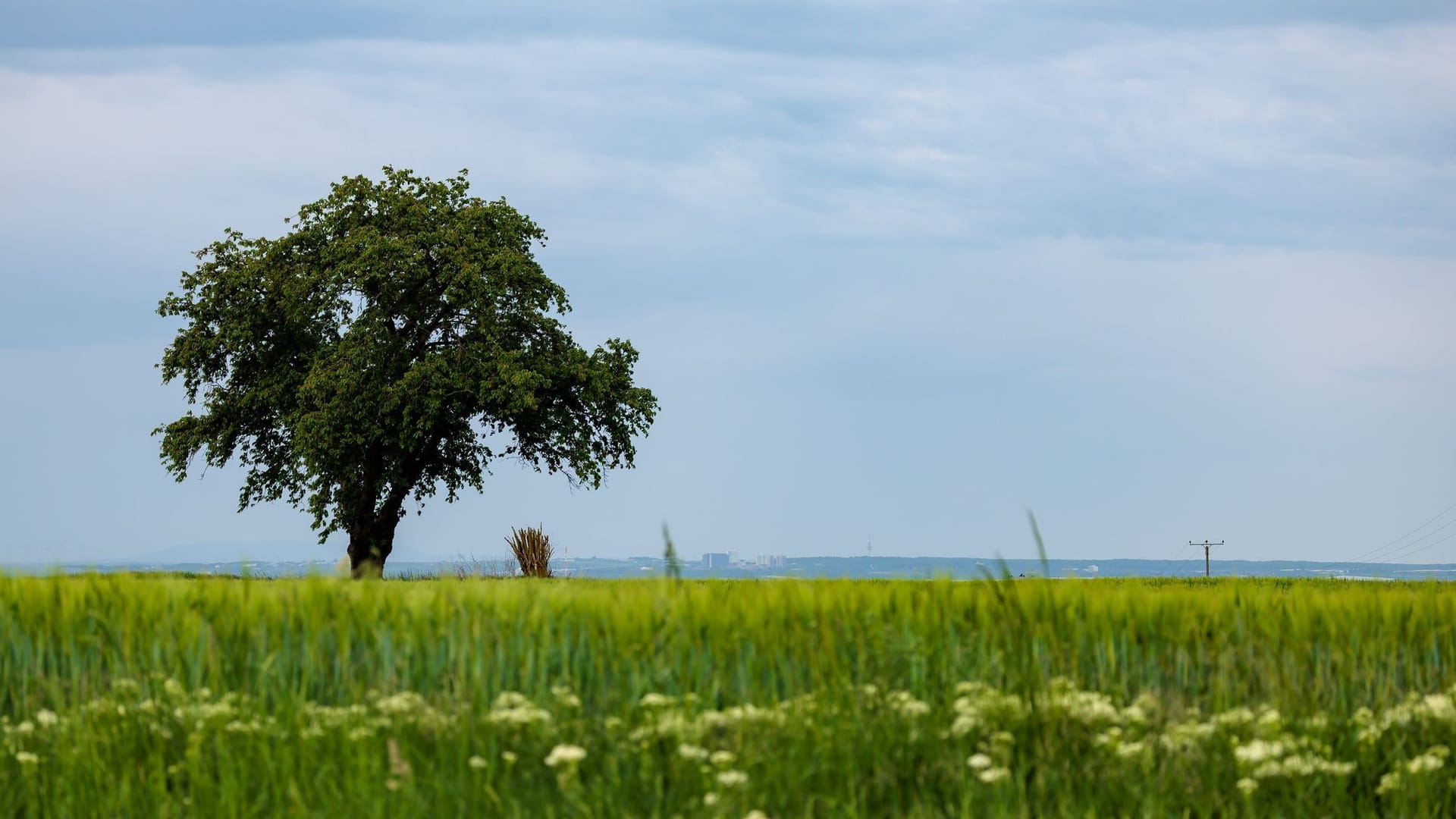 Meteorologen rechnen mit Wetterumschwung Meteorologen rechnen mit Wetterumschwung