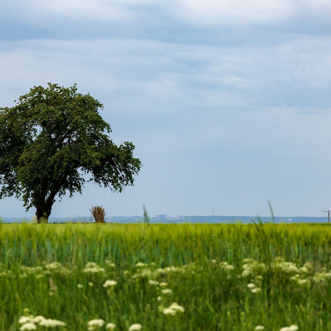 Meteorologen rechnen mit Wetterumschwung