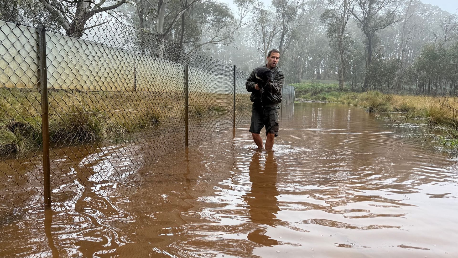 Überschwemmungen in Australien