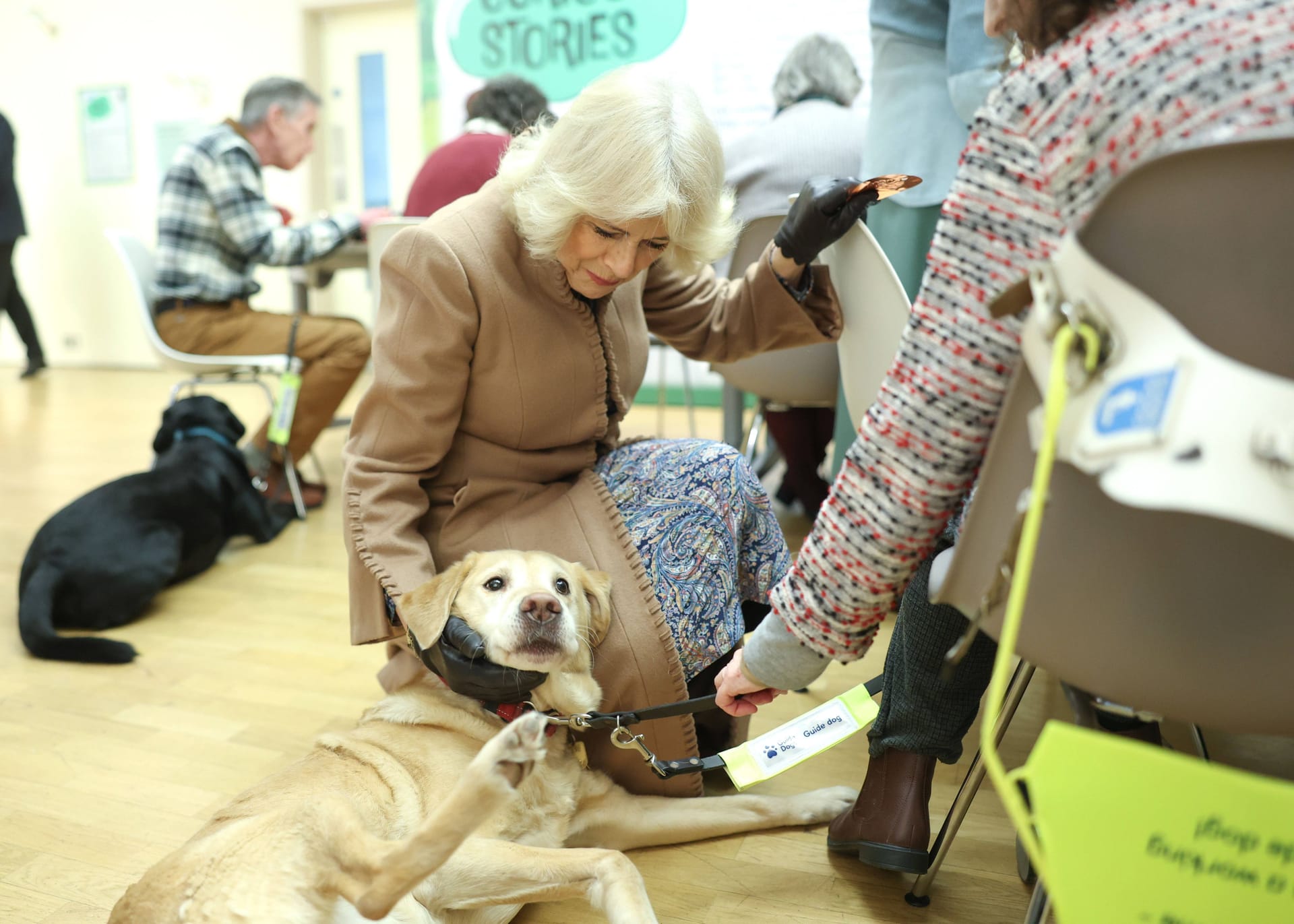 Königin Camilla: Sie adoptierte schon öfter Hunde aus dem Tierheim und ist außerdem Schirmherrin einer Rettungsstelle für Hunde und Katzen.
