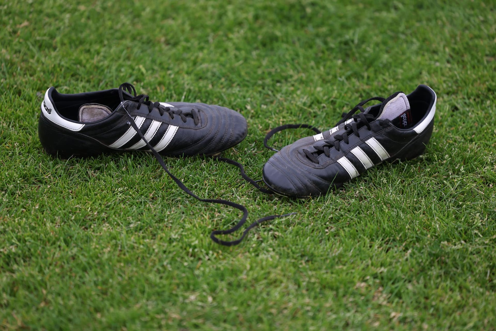 Wangenbiss bei Kreisliga-Spiel im Main-Kinzig-Kreis