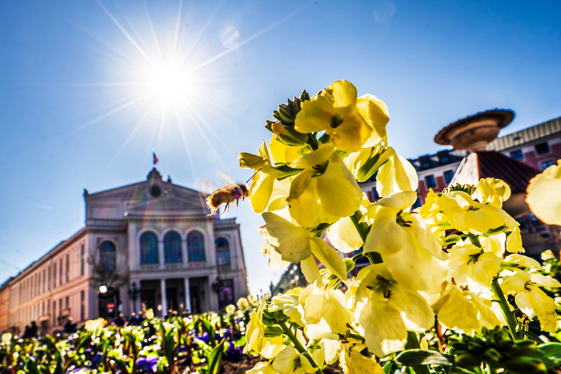 Frühling am Gärtnerplatz (Archivbild): Bis zu 18 Grad werden am Montag erwartet.