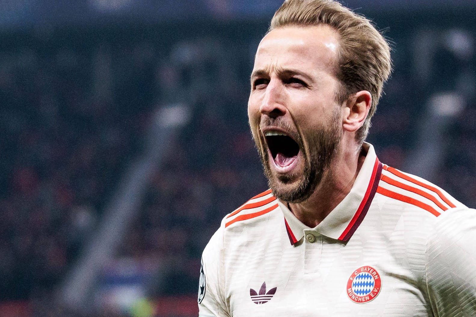 Harry Kane: Er hat in der laufenden Saison bereits 24 Ligatore erzielt.