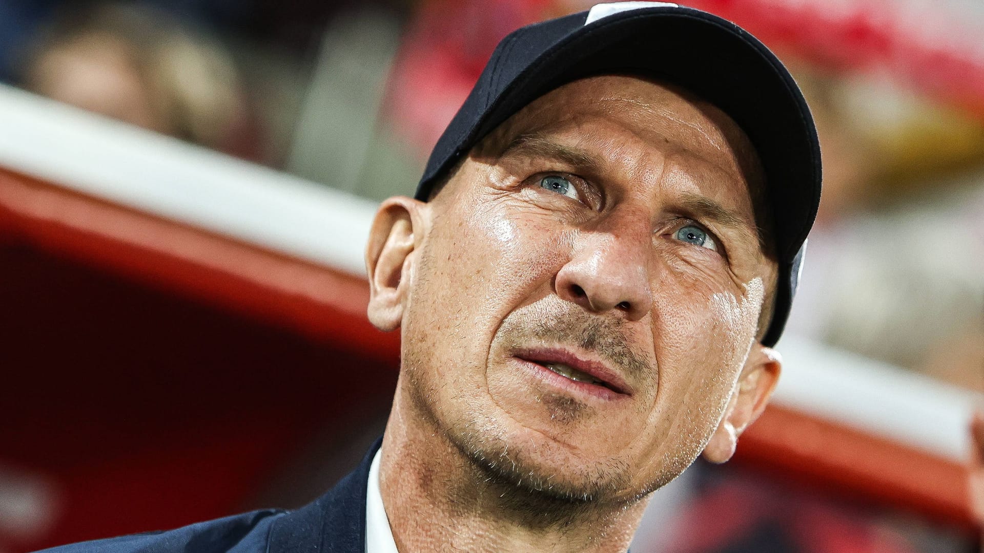 Gerhard Struber: Der Kölner Trainer muss gehen.