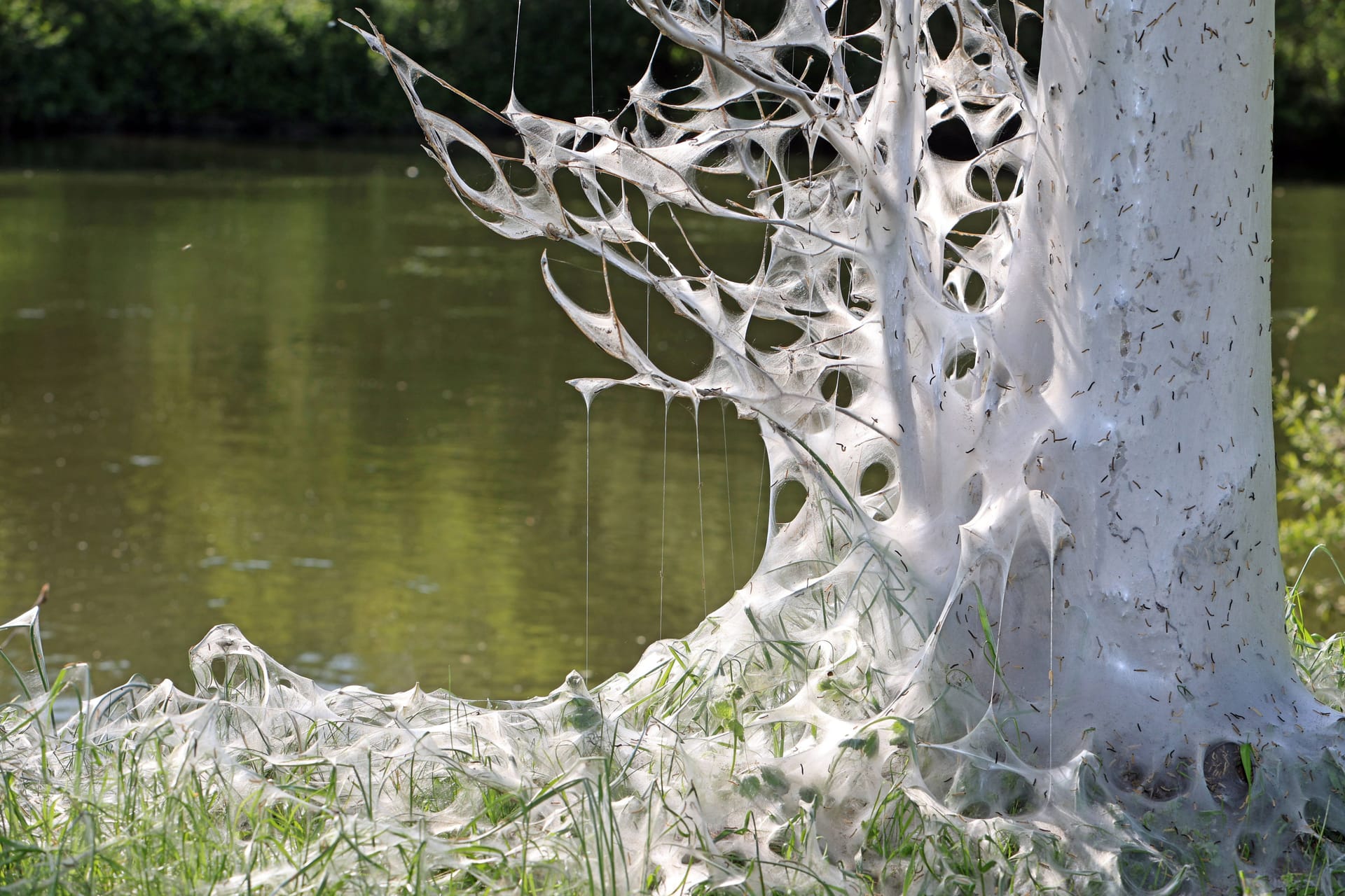 imago images 0815313536