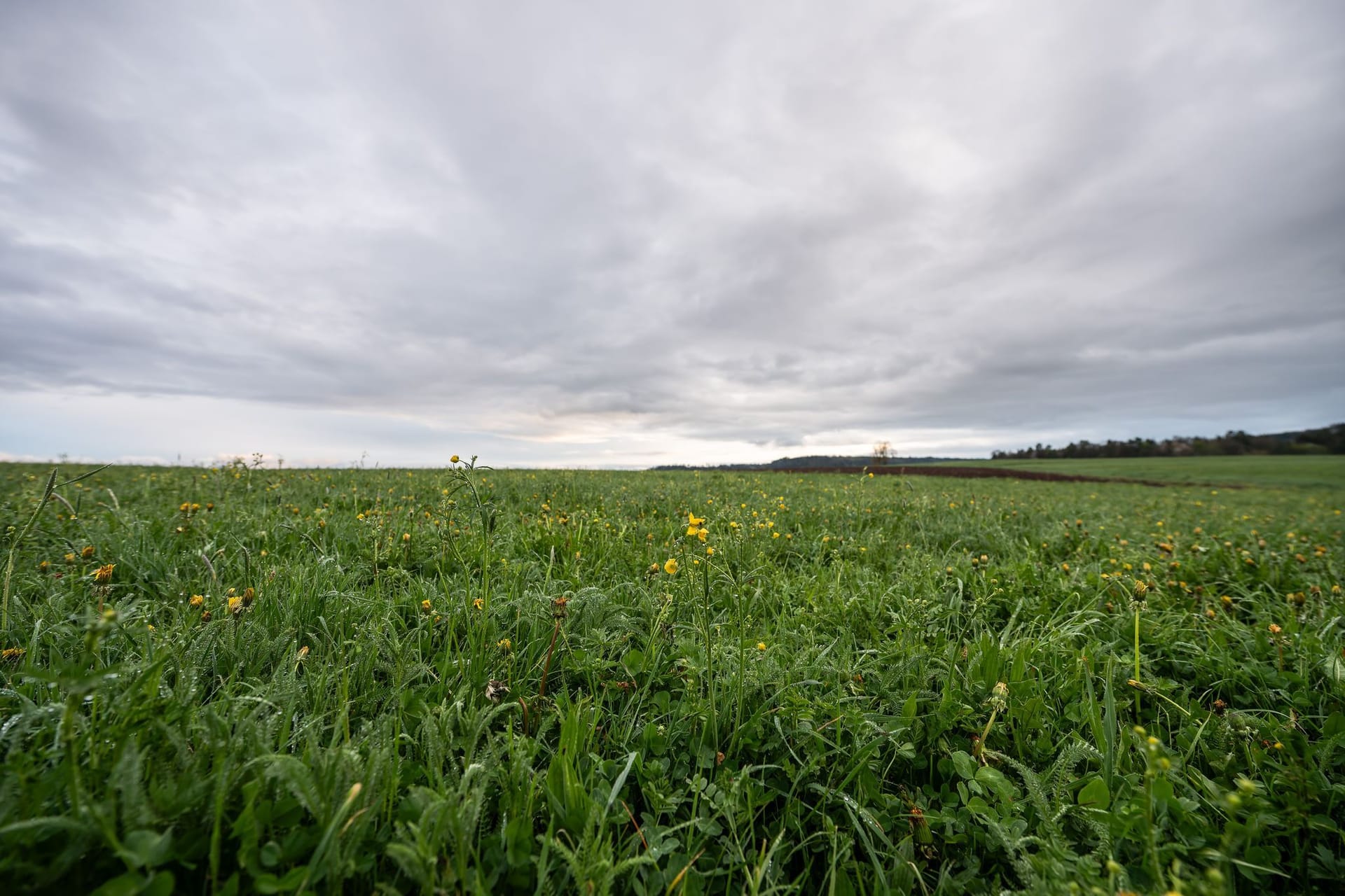 Wetter in Baden-Württemberg