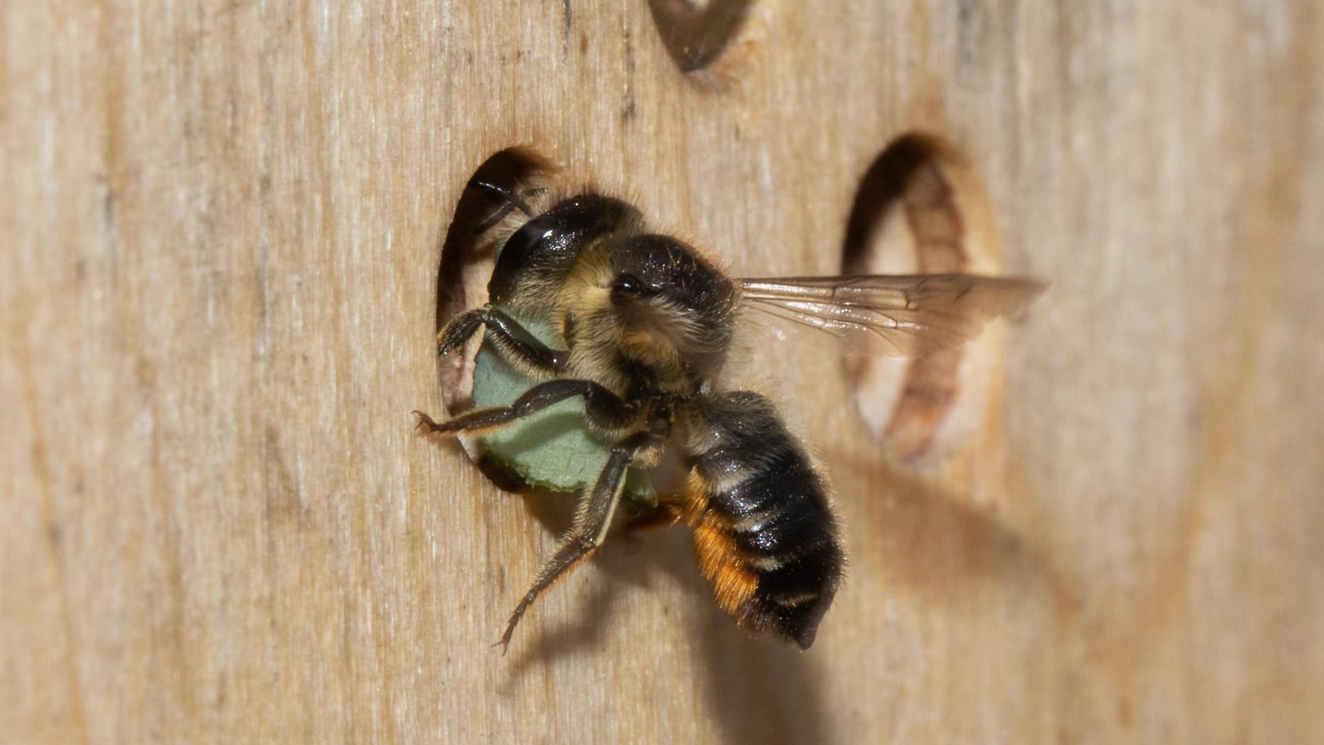 imago images 0196718904