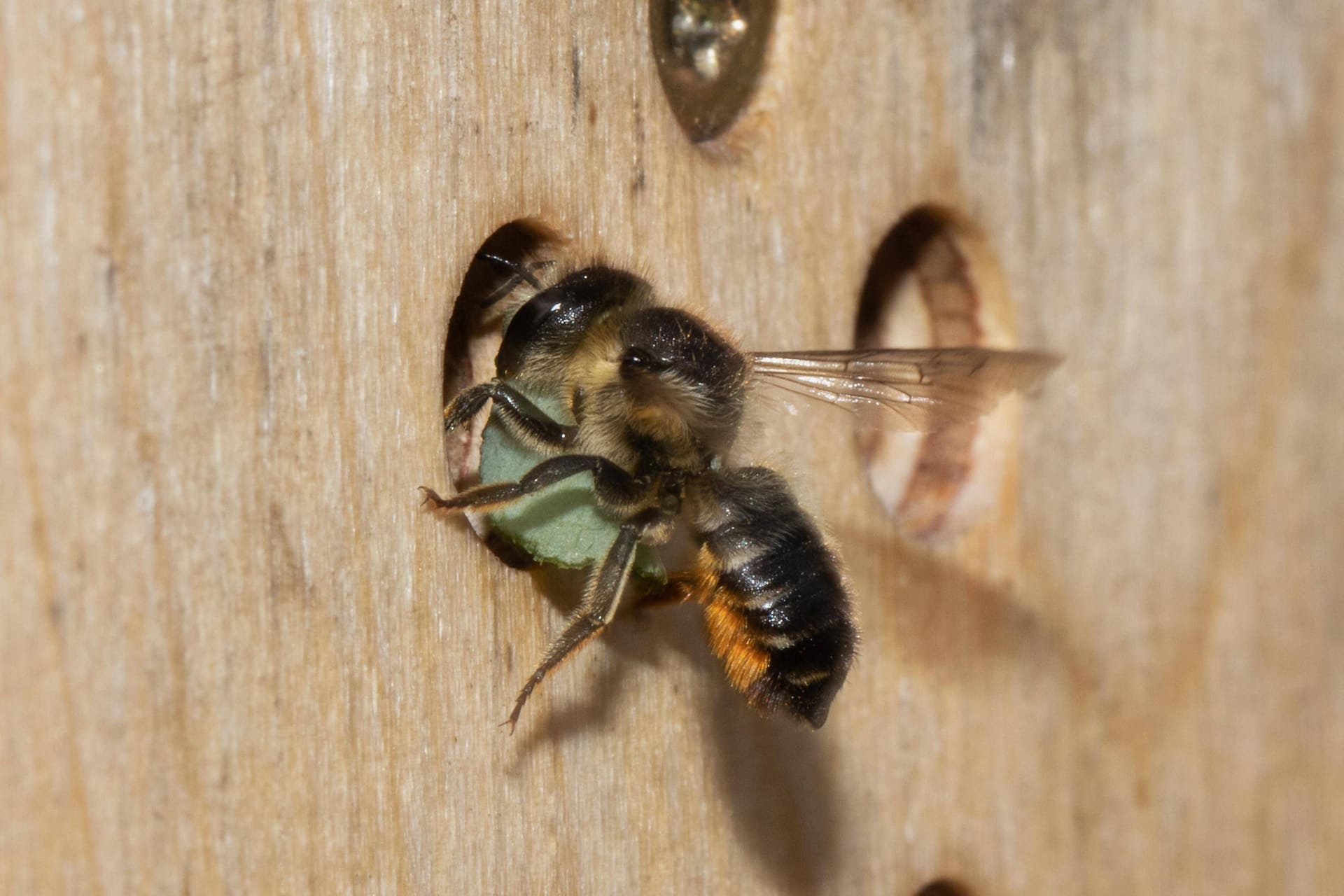 imago images 0196718904