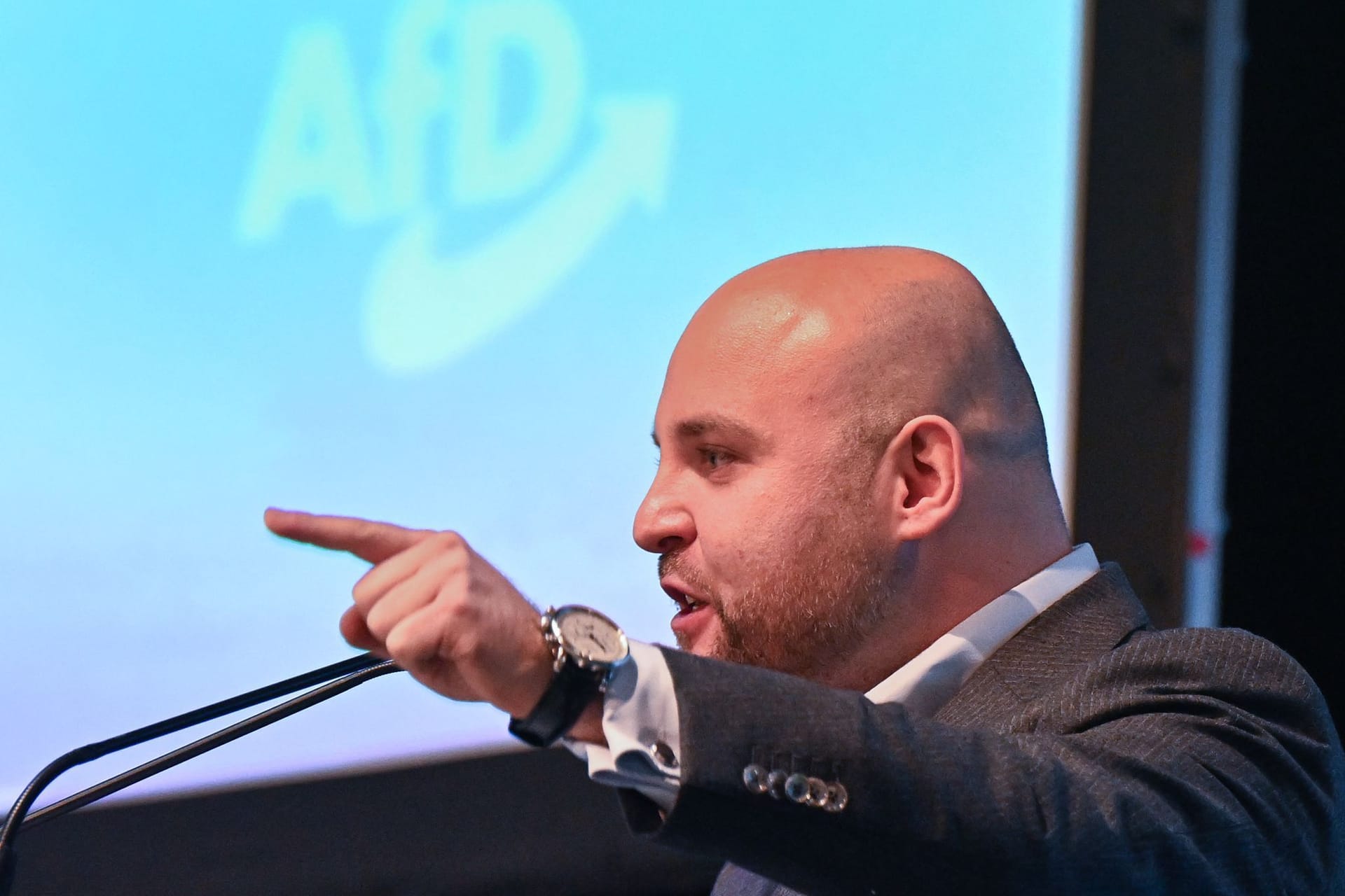 Landesparteitag AfD Baden-Württemberg