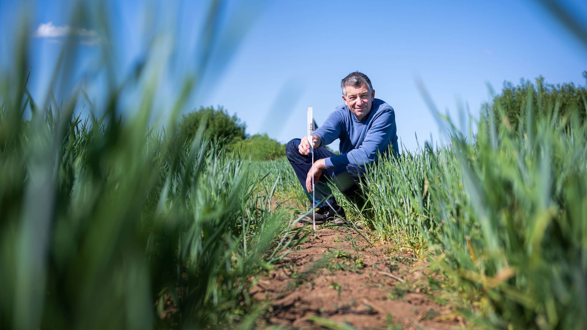 Trockenheit in der Landwirtschaft