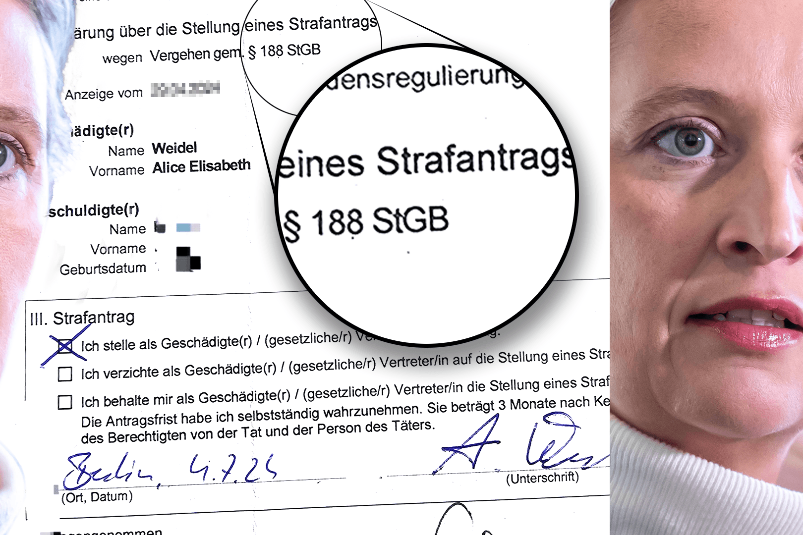 Alice Weidel: Die AfD-Vorsitzende stellt reihenweise Strafanträge wegen Beleidigung.