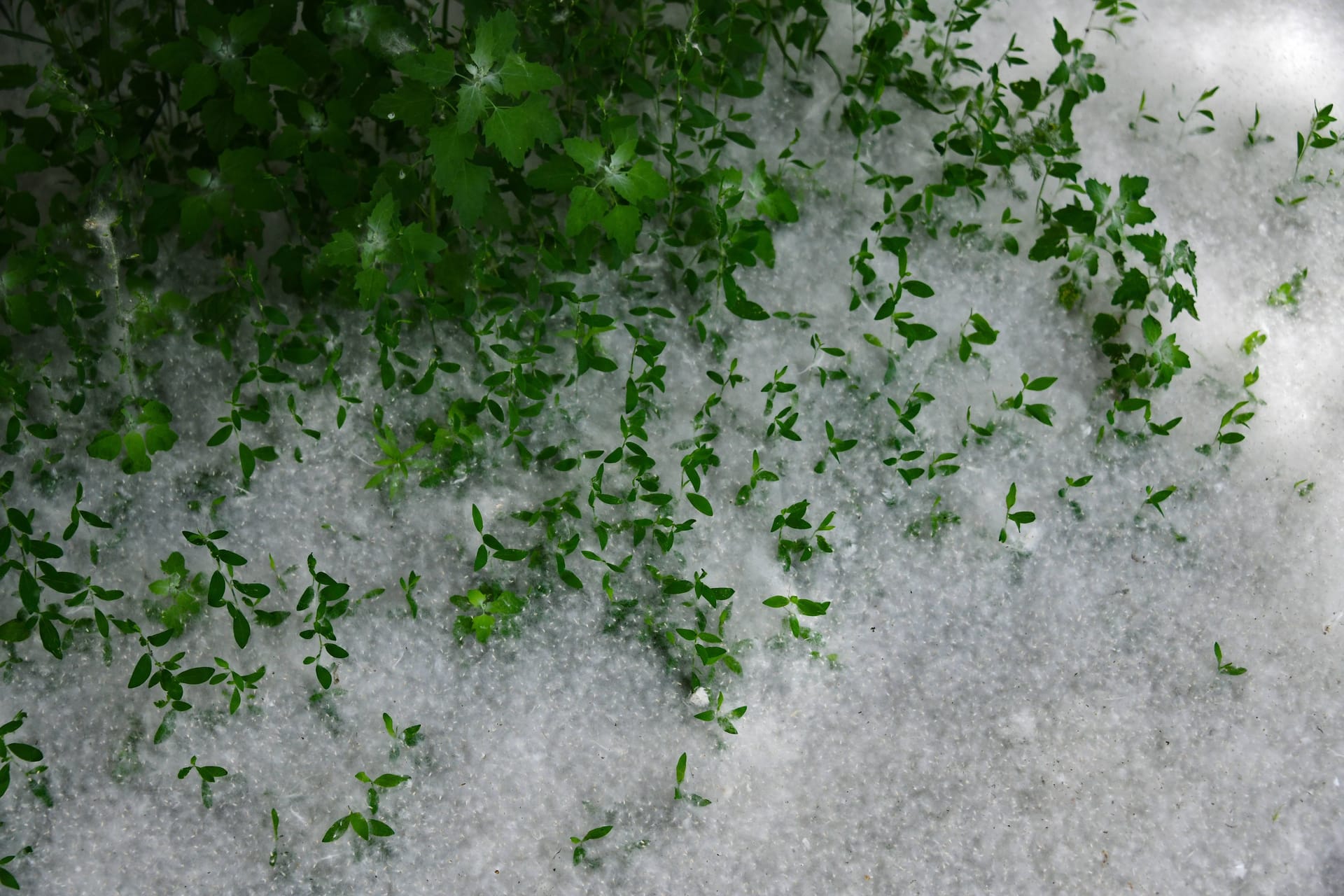 imago images 0627515776