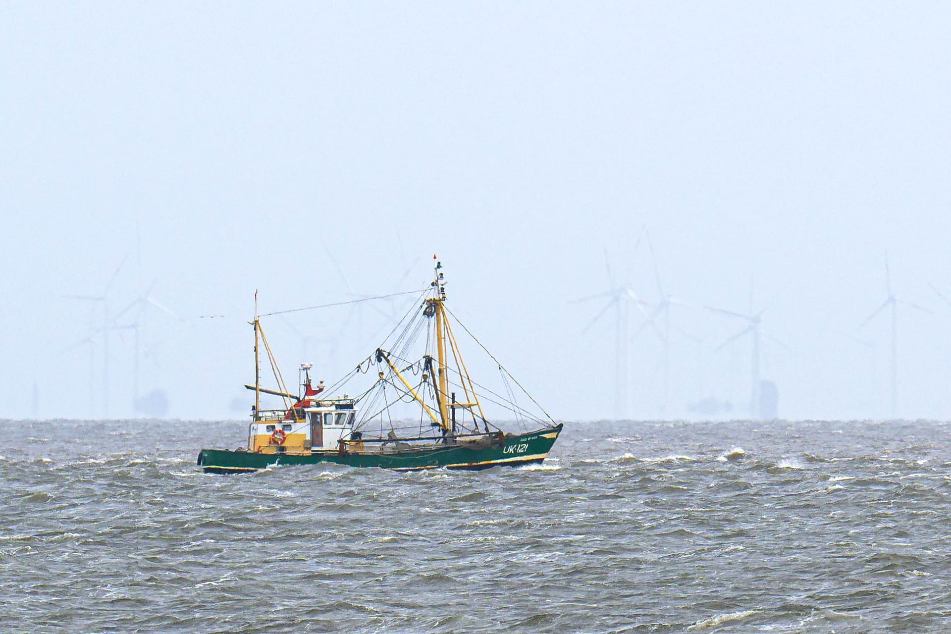 EU-Gericht urteilt über Fangverbote in der Nordsee