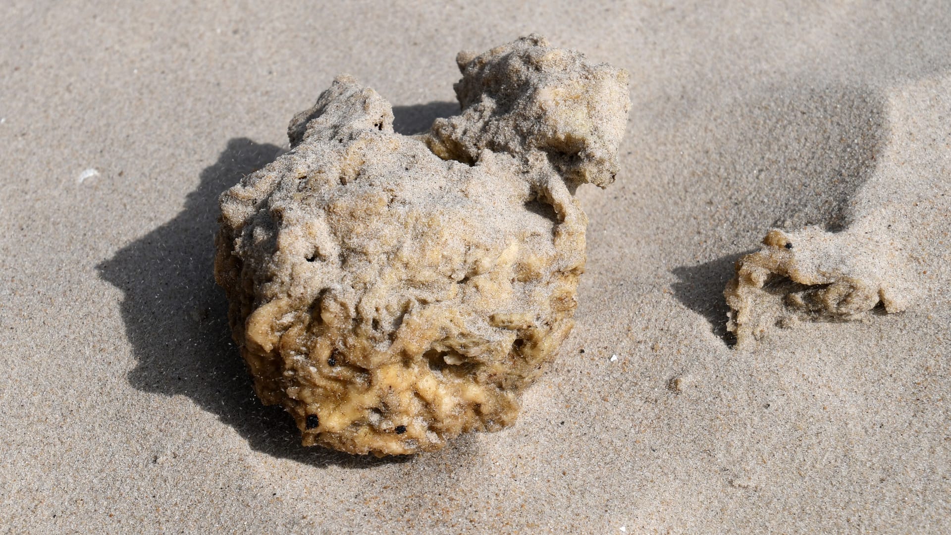 Giftiges industrielles Paraffin liegt am Strand (Symbolbild): Angespülte Klumpen verunreinigen seit Tagen den Nordseestrand auf Juist. Giftiges industrielles Paraffin liegt am Strand (Symbolbild): Angespülte Klumpen verunreinigen seit Tagen den Nordseestrand auf Juist.