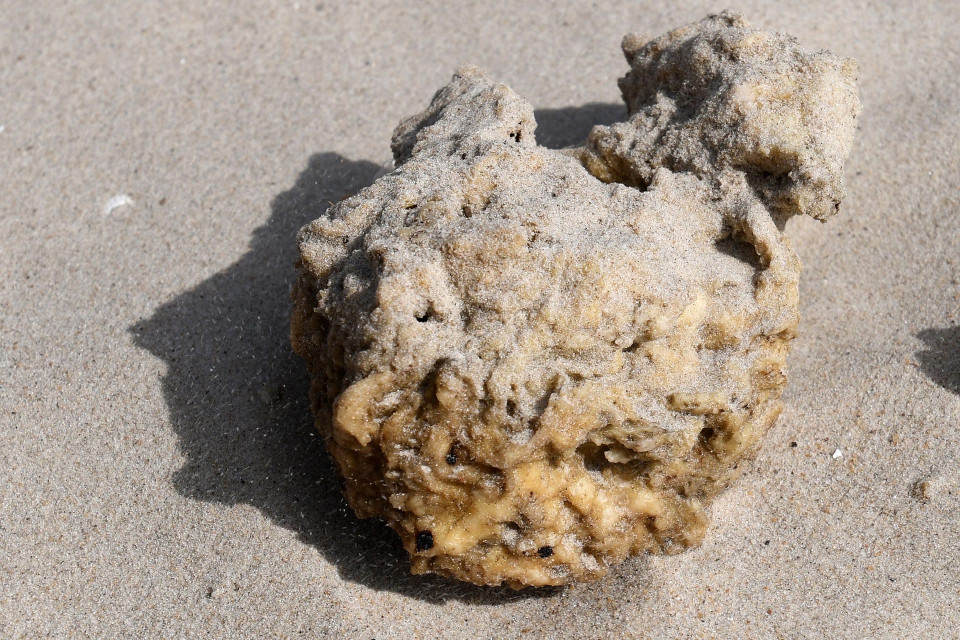 Giftiges industrielles Paraffin liegt am Strand (Symbolbild): Angespülte Klumpen verunreinigen seit Tagen den Nordseestrand auf Juist.