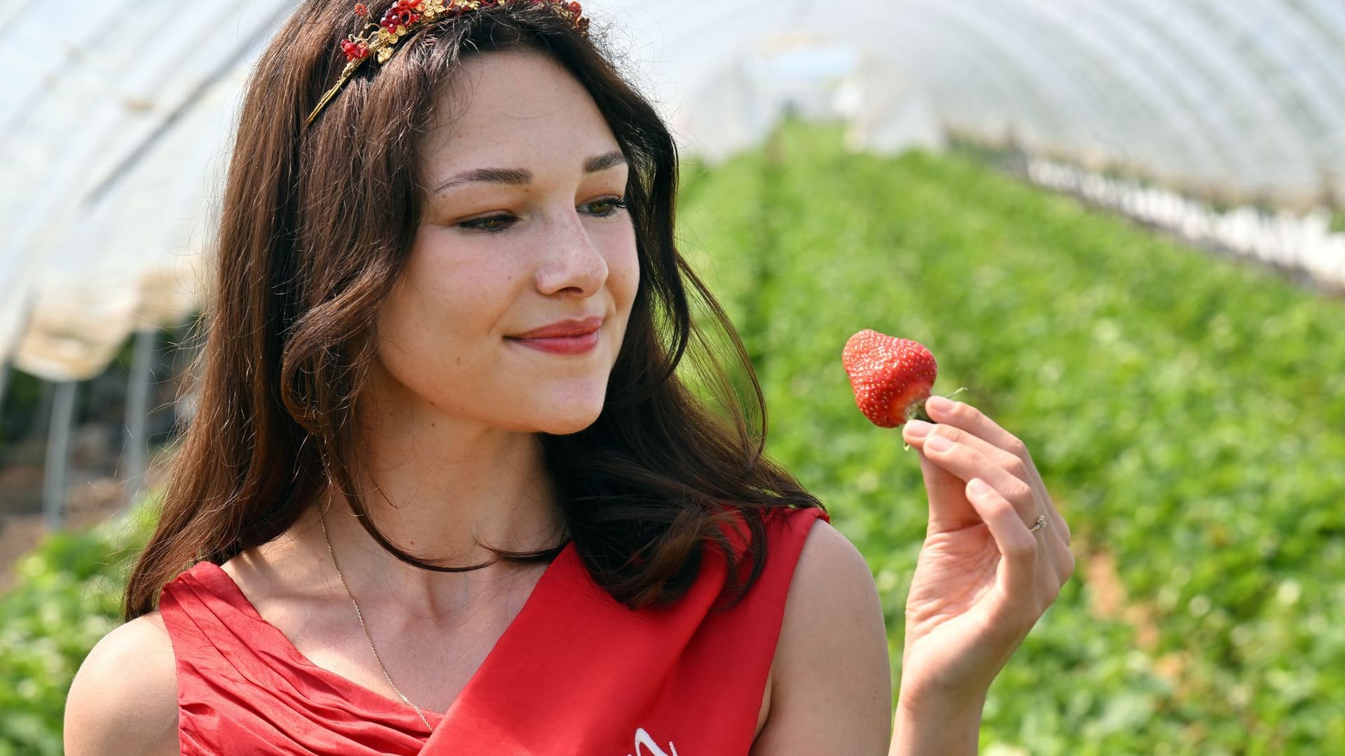 Umfrage zu Früchten und Beeren