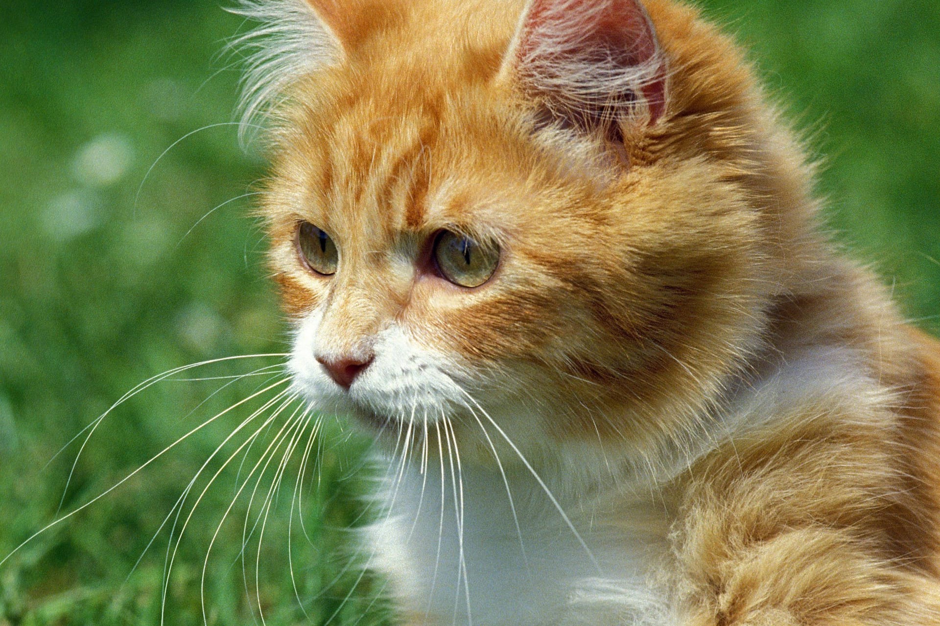imago images 0257202731