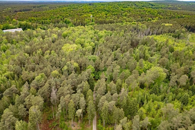 Die Laußnitzer Heide wird in der warmen Jahreszeit regelmäßig zu einem Party-Ort (Archivbild).