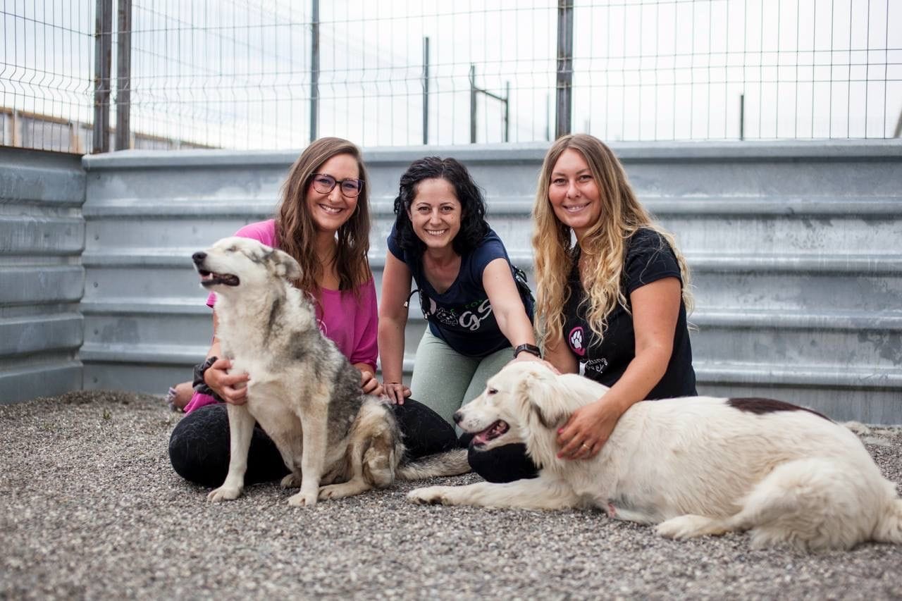 Svenja Gruszeczka (links 1.Vorsitzende des Duisburger Tierschutzvereins), Delia Botea (Mitte, aus dem rumänischen Partnertierheim) und Carina Gohmann (rechts, 2.Vorsitzende).