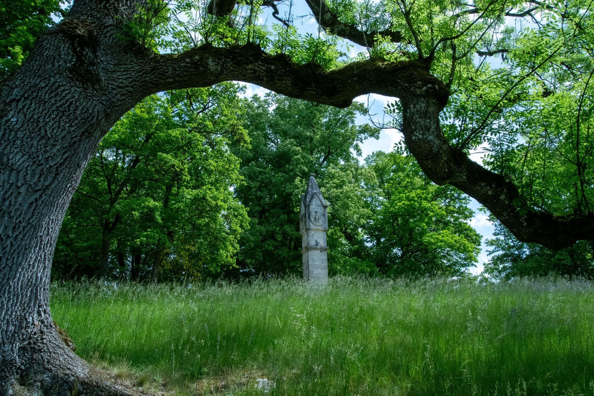 Klimaschäden in historischen Parkanlagen