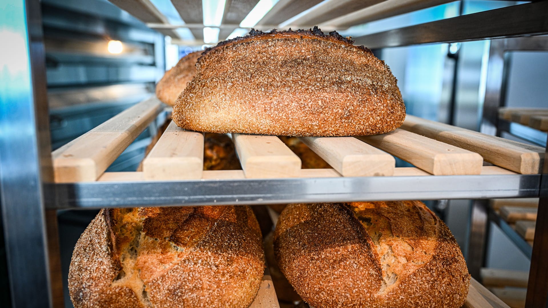 Brot in der Auslage (Archivbild): In der Filialie an der Räcknitzhöhe 31 von Stadtbäcker Höring stellten Lebensmittelkontrolleure schwerwiegende Hygiene-Verstöße fest. Diese wurden inzwischen behoben.