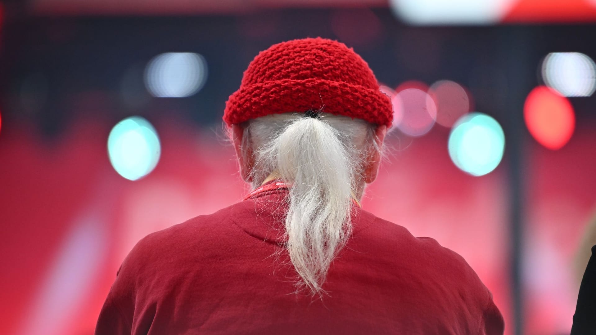 Bundesparteitag Linke