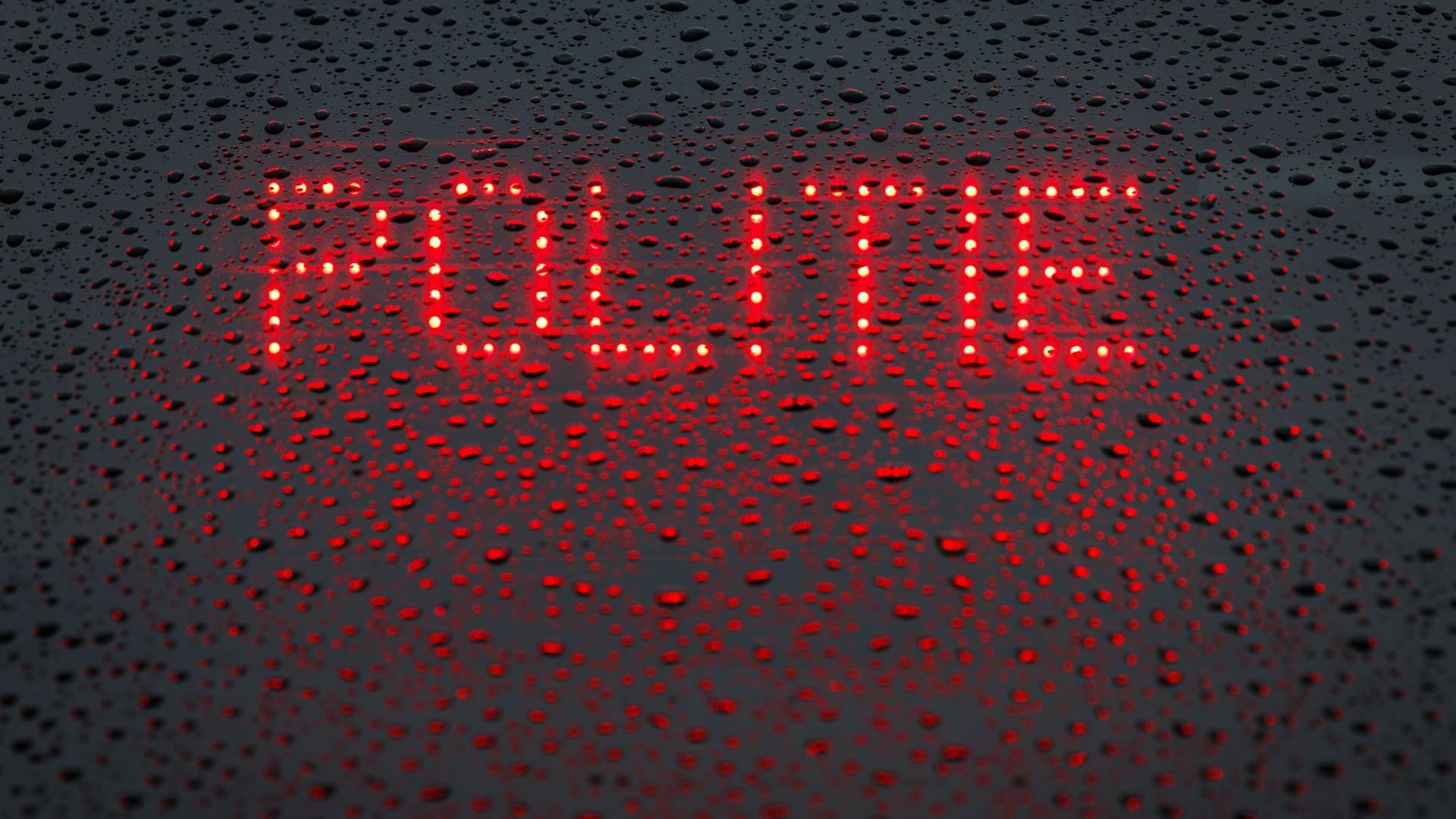 Polizei der Niederlande Polizei der Niederlande
