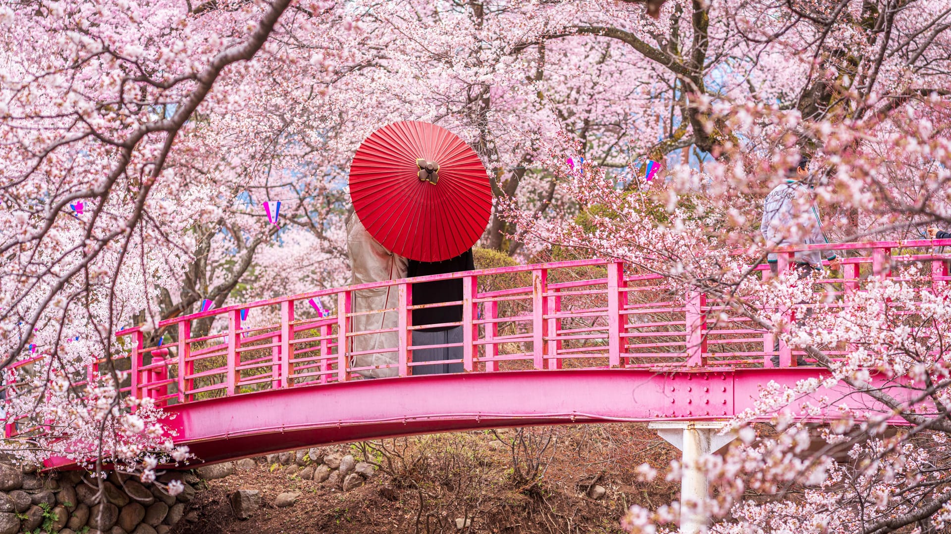Kirschblüte in einem Park in Tokio: Wenn im April/Mai in Japan die Kirschbäume blühen, zieht das Abertausende Gäste an. Kirschblüte in einem Park in Tokio: Wenn im April/Mai in Japan die Kirschbäume blühen, zieht das Abertausende Gäste an.