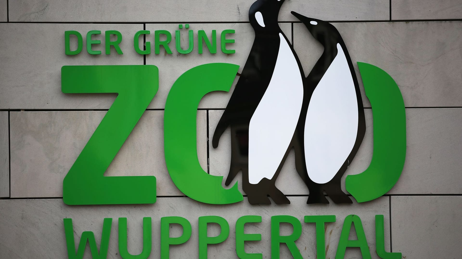 Protest gegen Zoos - Konflikt mit Influencer Protest gegen Zoos - Konflikt mit Influencer
