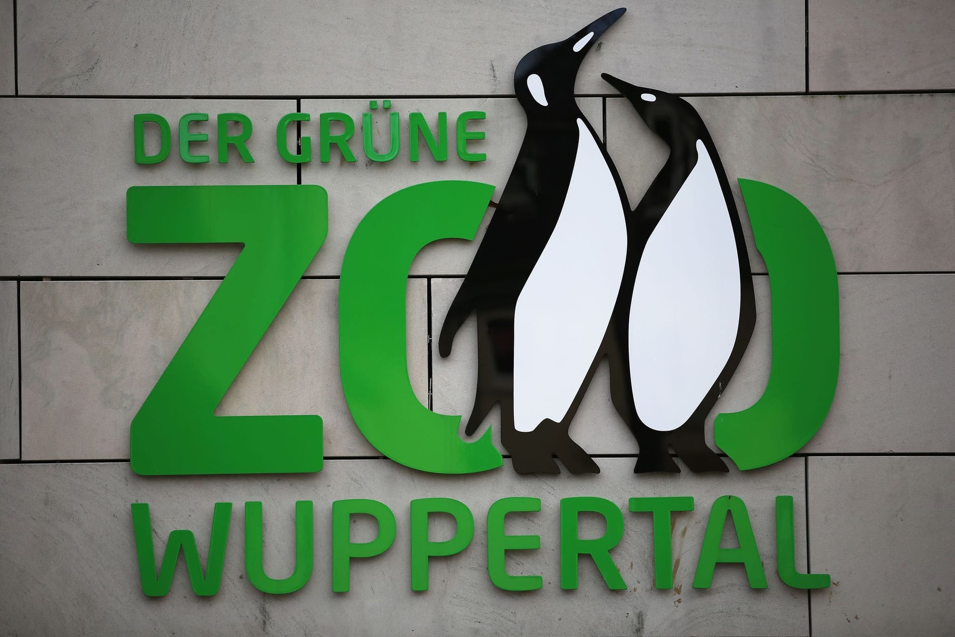 Protest gegen Zoos - Konflikt mit Influencer