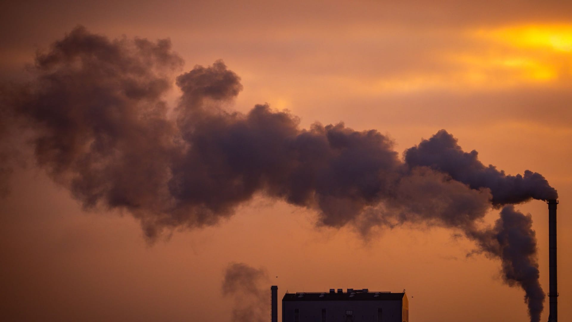 Abgase und CO2-Ausstoß Abgase und CO2-Ausstoß