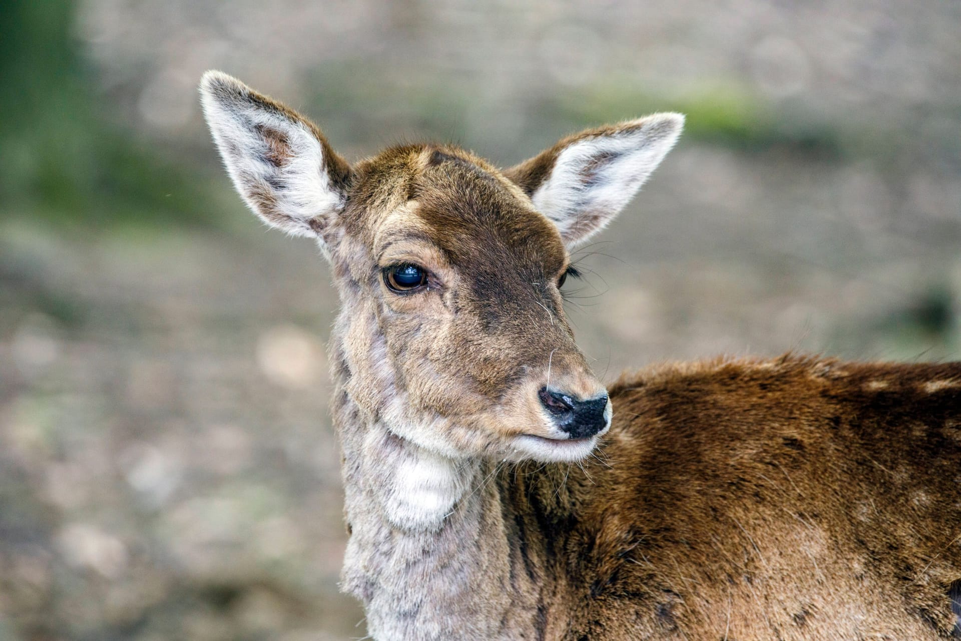 imago images 155781822
